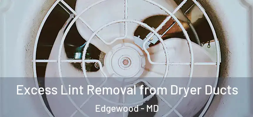  Excess Lint Removal from Dryer Ducts Edgewood - MD