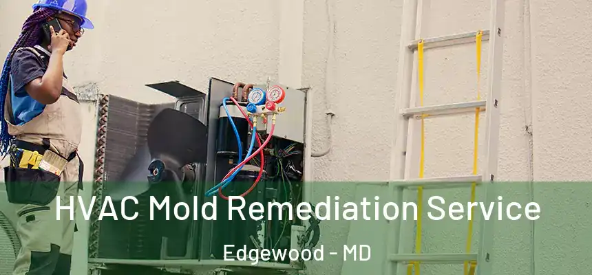  HVAC Mold Remediation Service Edgewood - MD