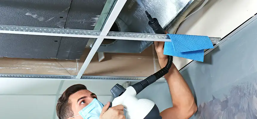 Our Air Duct Rodent Removal Services in Edgewood, MD