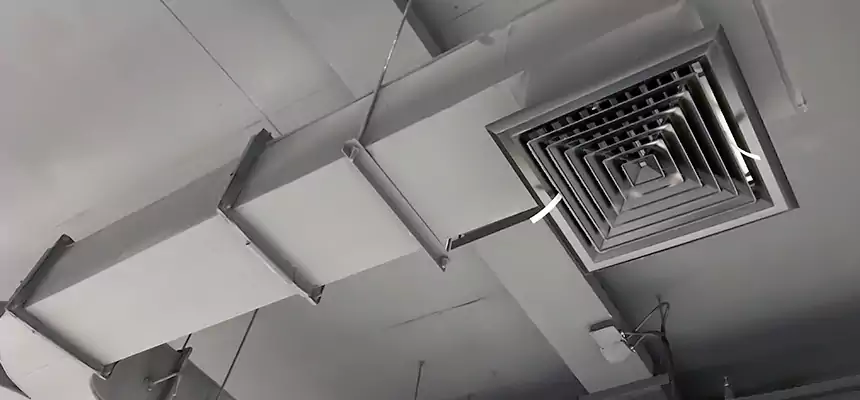 Restorative Allergy Relief Vent Cleaning – Coil, Blower & Housing Detail in Edgewood