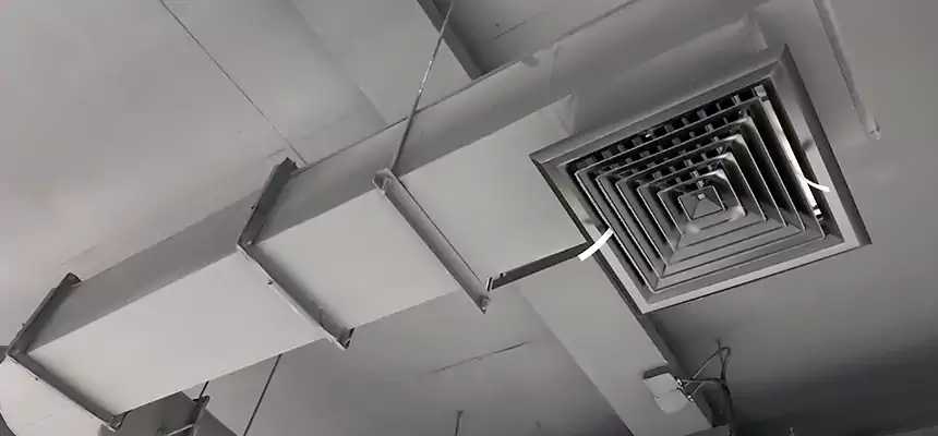 Our Pest Removal From Ducts Services in Edgewood, MD