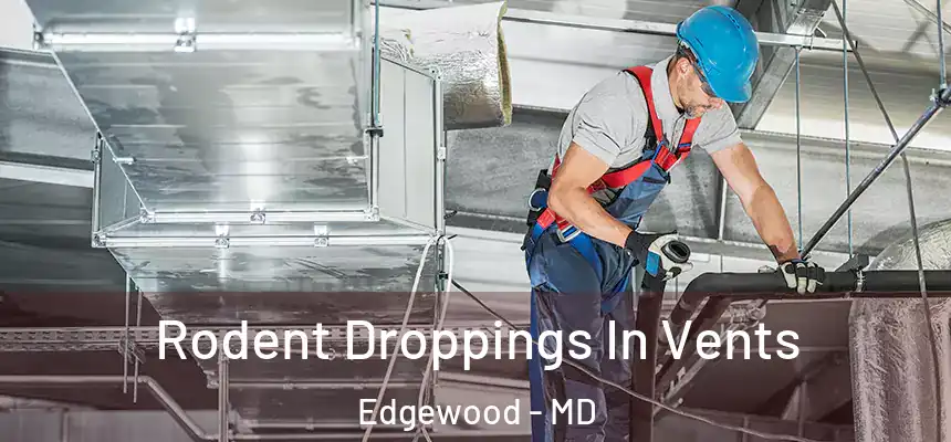  Rodent Droppings In Vents Edgewood - MD