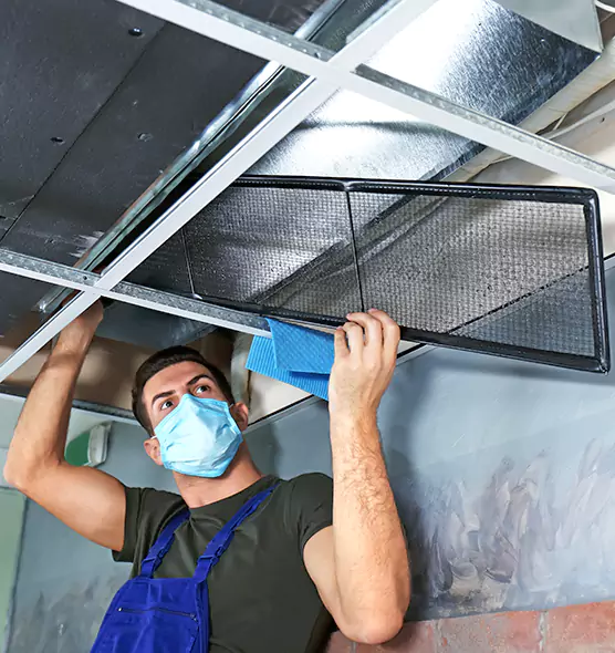 About Air Duct Bacteria Removal in Edgewood
