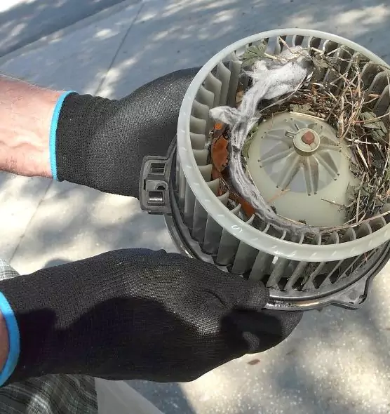 About Air Duct Mice Removal in Edgewood, MD