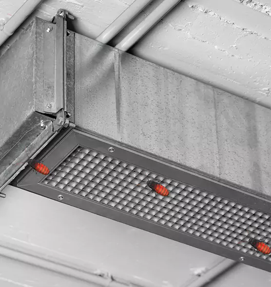 Affordable Insect Removal from Air Ducts in Edgewood, MD