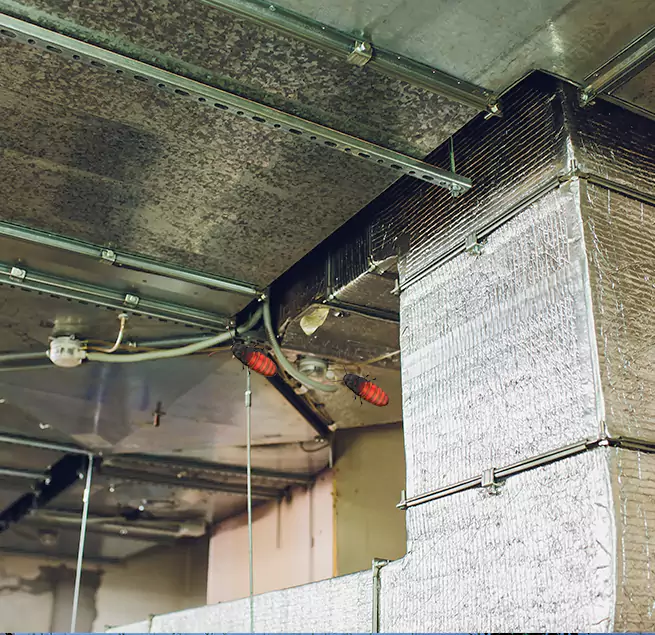 Why Homeowners & Businesses Trust Us in Edgewood, MD?