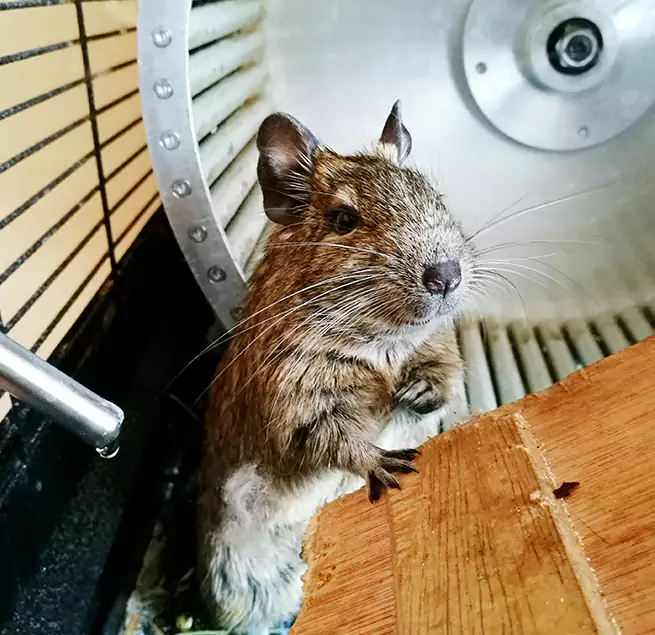 Why Homeowners & Businesses Trust Us Edgewood, MD