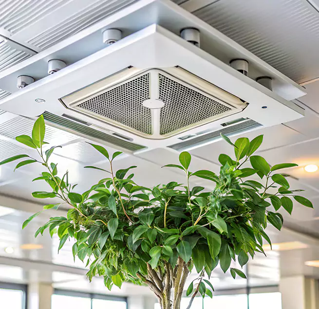 Why Homeowners & Businesses Trust Us in Edgewood, MD?