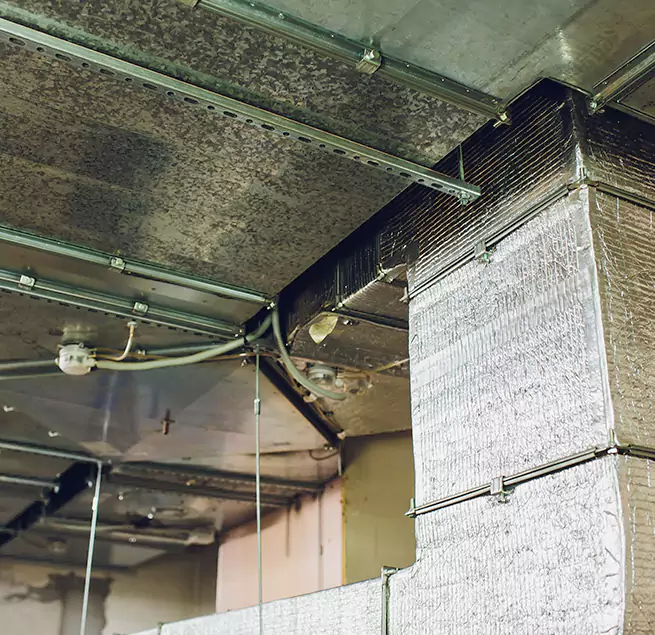 Why Homeowners & Businesses Trust Us in Edgewood, MD?